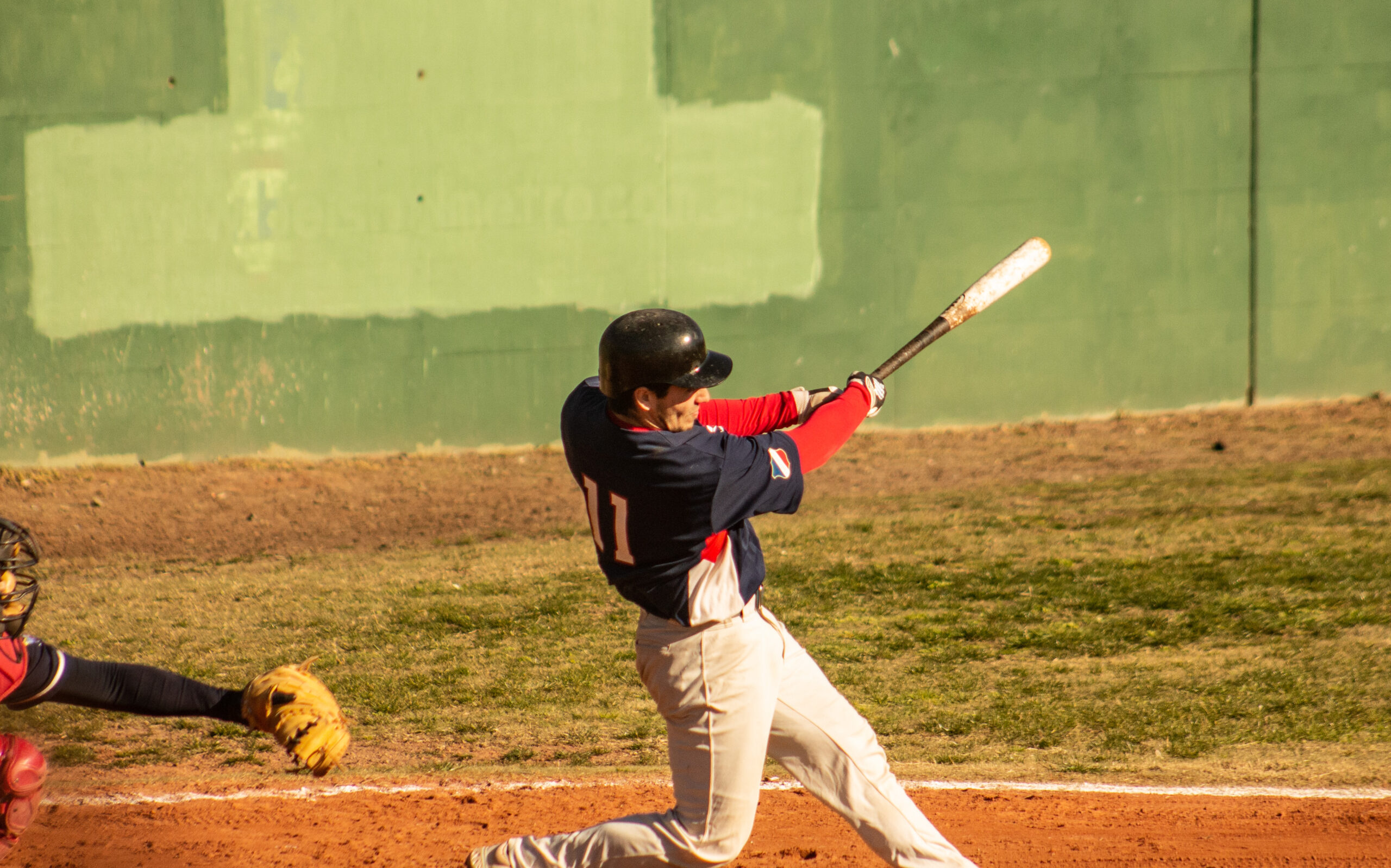 Jugador de Daom Béisbol